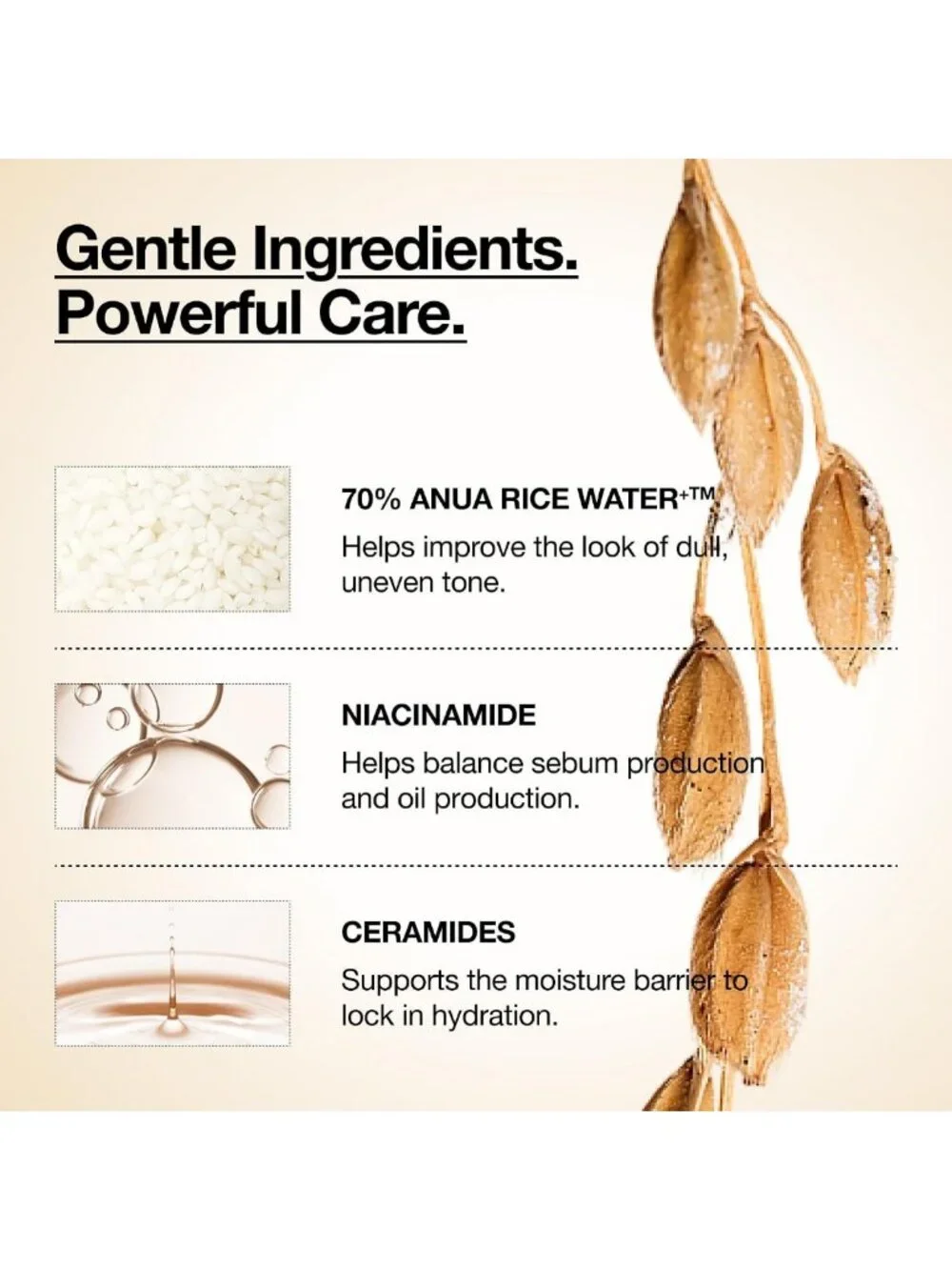 Glow Milky Toner for Dewy Skin, Hydrating Rice Water & Niacinamide